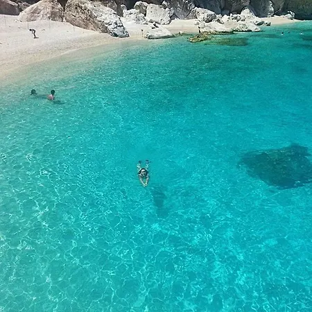 Salondra