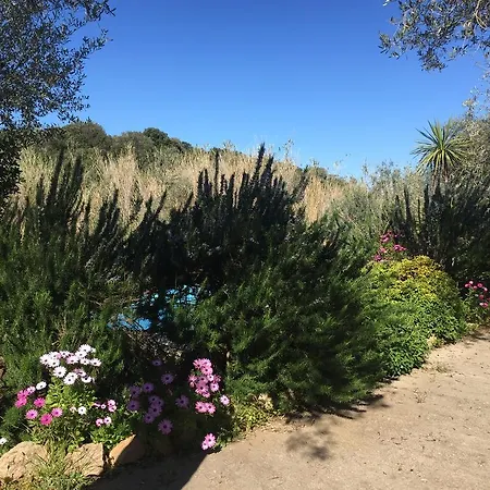 Сasa de vacaciones Salondra *
