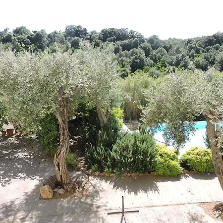 Salondra Holiday home *