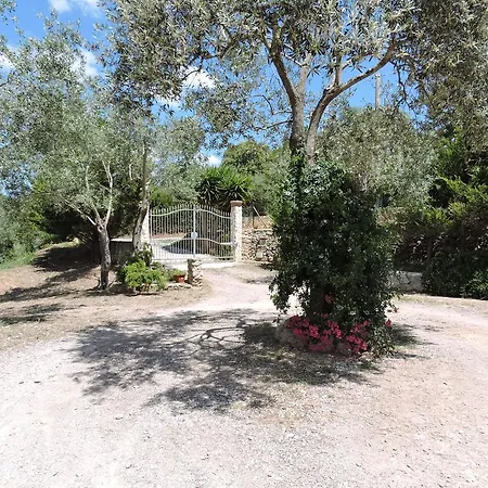 Salondra Holiday home *